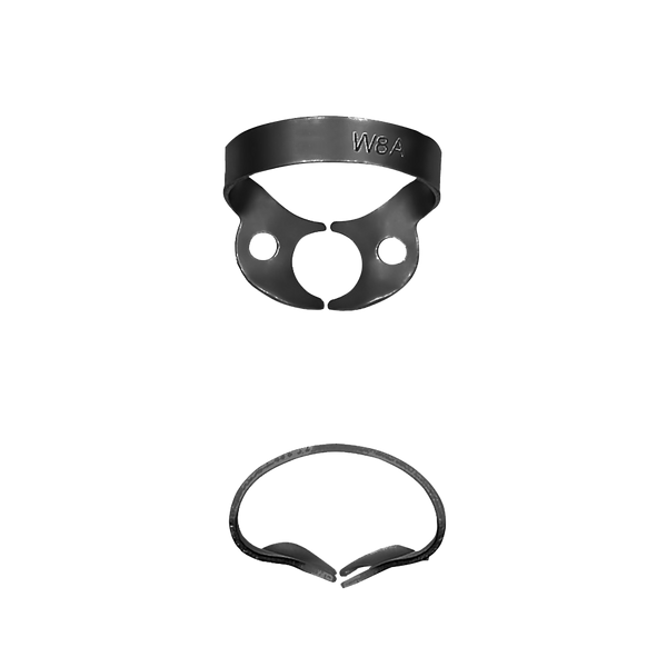 W8A Molars; General, Rubber Dam Clamp