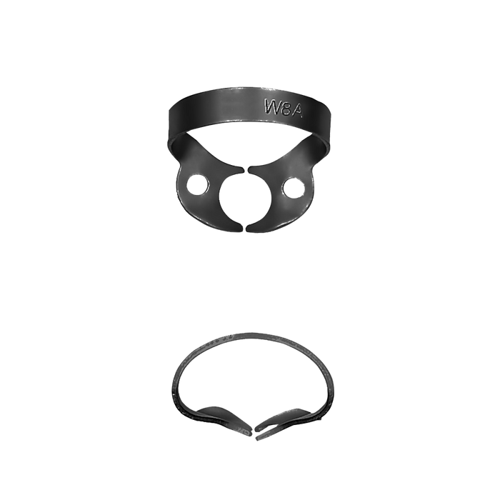 W8A Molars; General, Rubber Dam Clamp