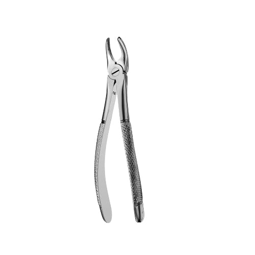17 Serrated Upper Molars Extraction Forcep - HiTeck Medical Instruments