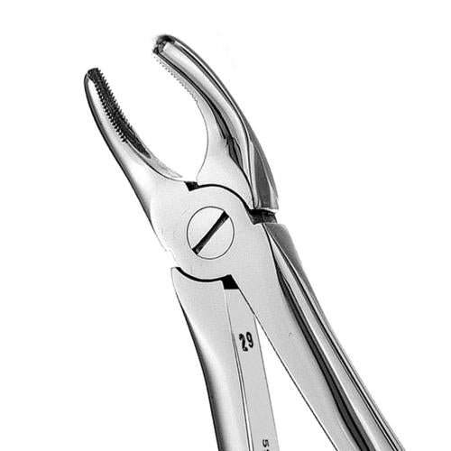 18 Serrated Upper Molars Extraction Forcep - HiTeck Medical Instruments