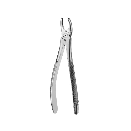 18 Serrated Upper Molars Extraction Forcep - HiTeck Medical Instruments