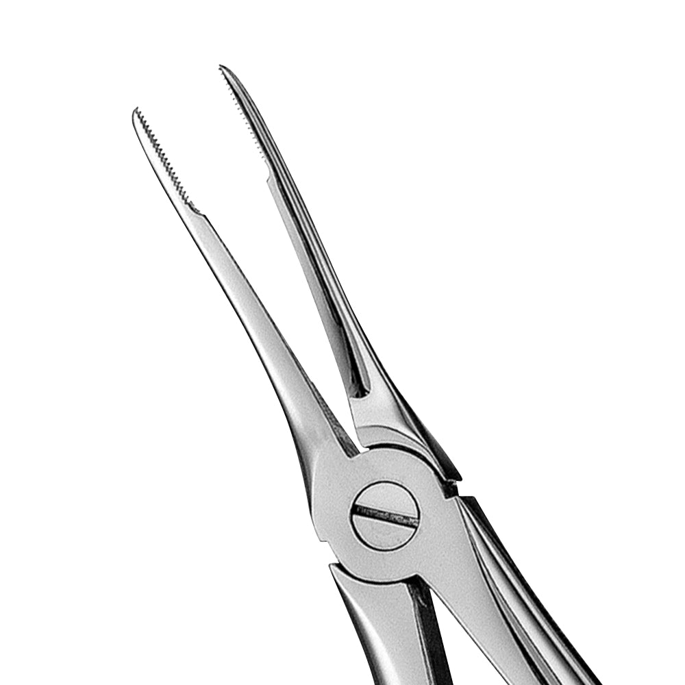 49 Upper Roots Serrated Extraction Forceps - HiTeck Medical Instruments