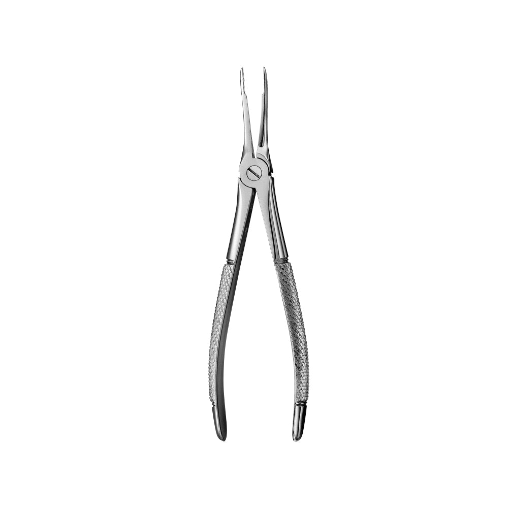 49 Upper Roots Serrated Extraction Forceps - HiTeck Medical Instruments