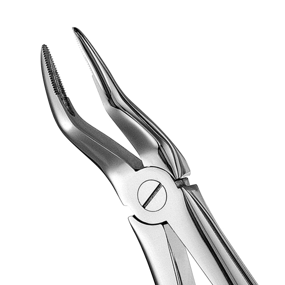 51 Upper Roots Serrated Extraction Forceps - HiTeck Medical Instruments
