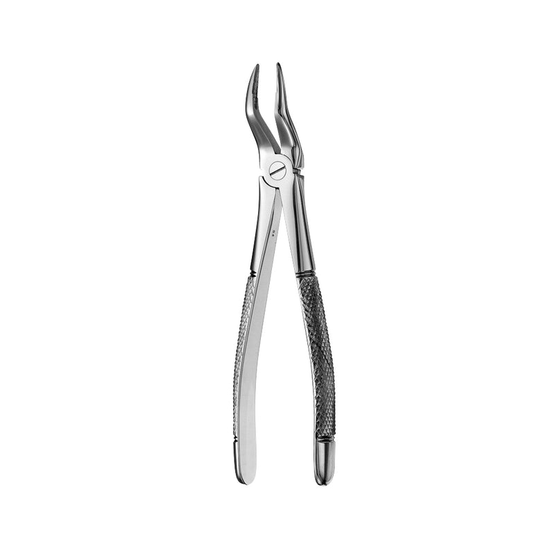 51 Upper Roots Serrated Extraction Forceps - HiTeck Medical Instruments