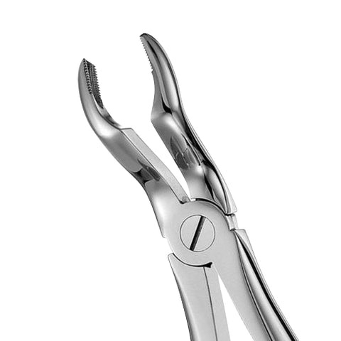 67A Serrated Upper Molars Extraction Forceps - HiTeck Medical Instruments