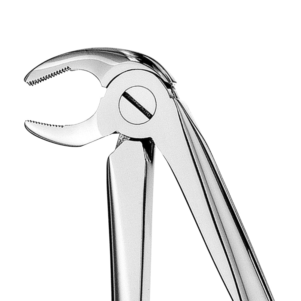 13 Serrated Lower Premolars Extraction Forceps - HiTeck Medical Instruments