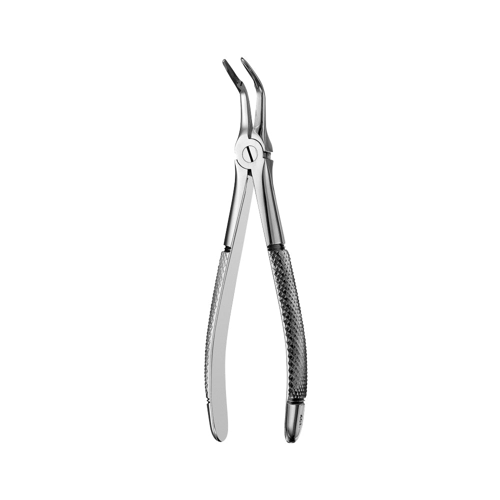 46L Lower Roots Serrated Extraction Forceps - HiTeck Medical Instruments