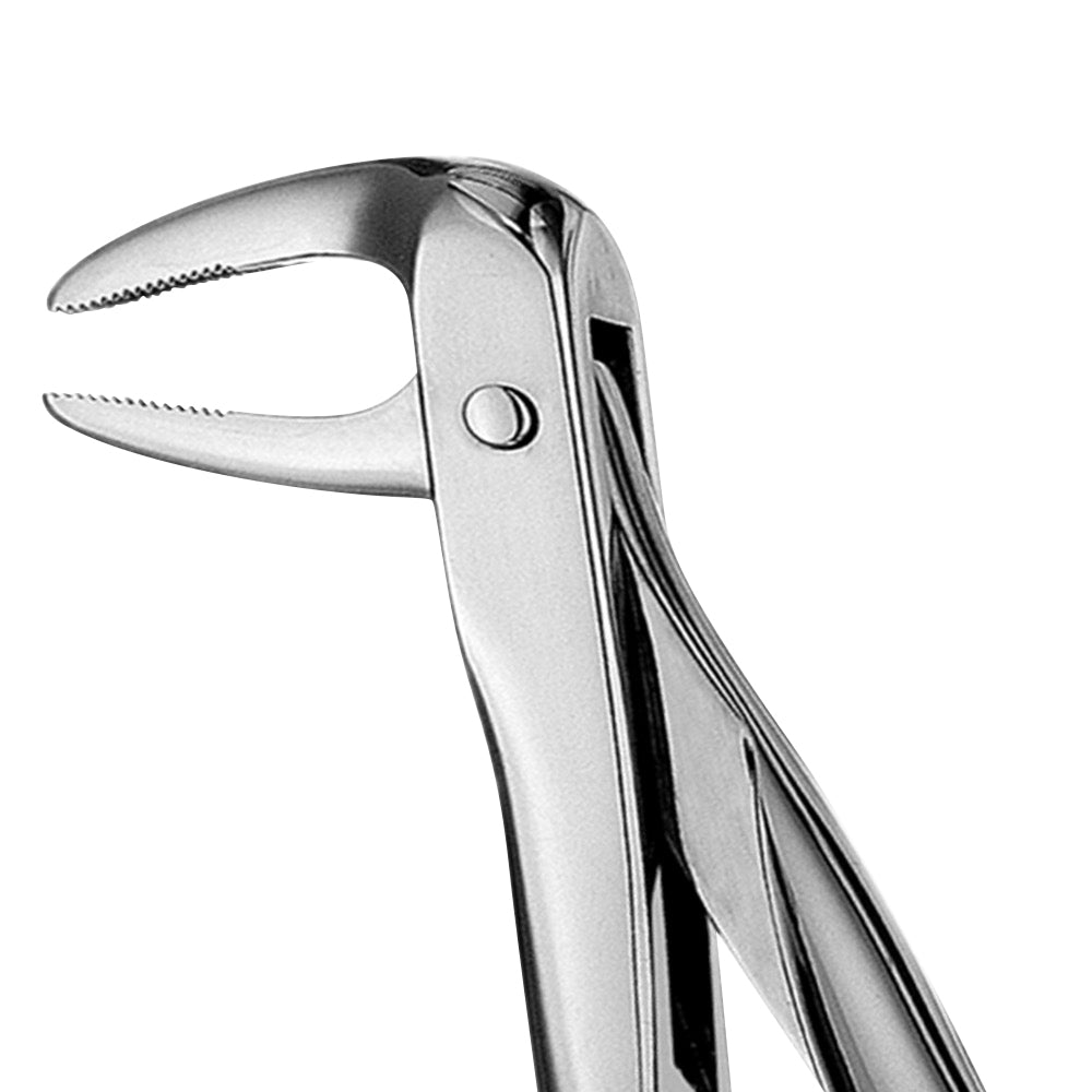 74N Lower Roots Narrow Beaks Serrated Extraction Forceps - HiTeck Medical Instruments