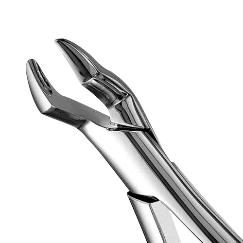 10S Upper Molars Extraction Forcep - HiTeck Medical Instruments