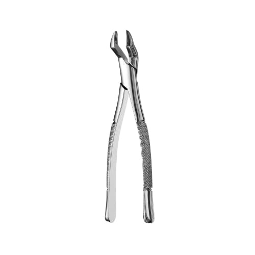 10S Upper Molars Extraction Forcep - HiTeck Medical Instruments