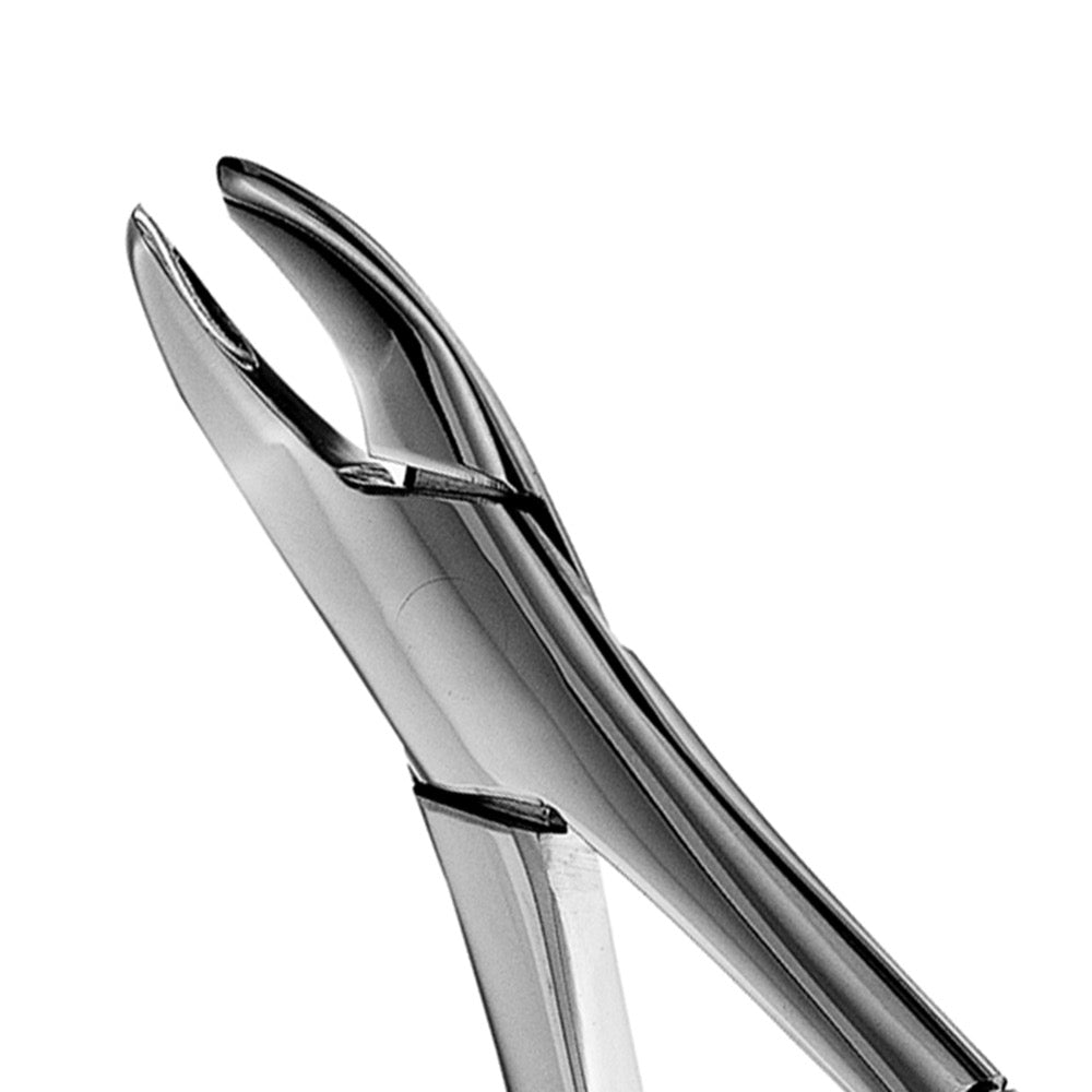 62 Upper & Lower Incisors, Canines, Premolars Extraction Forcep - HiTeck Medical Instruments