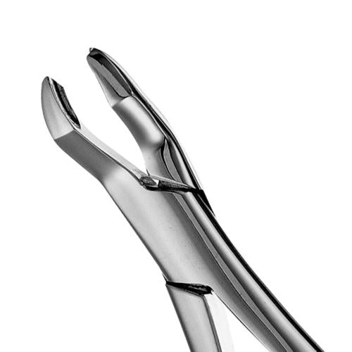 53R Upper Molars Extraction Forceps - HiTeck Medical Instruments