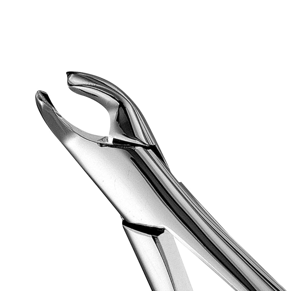 151A Cryer Parallel Beaks Lower Incisors, Canines & Premolars Extraction Forceps - HiTeck Medical Instruments