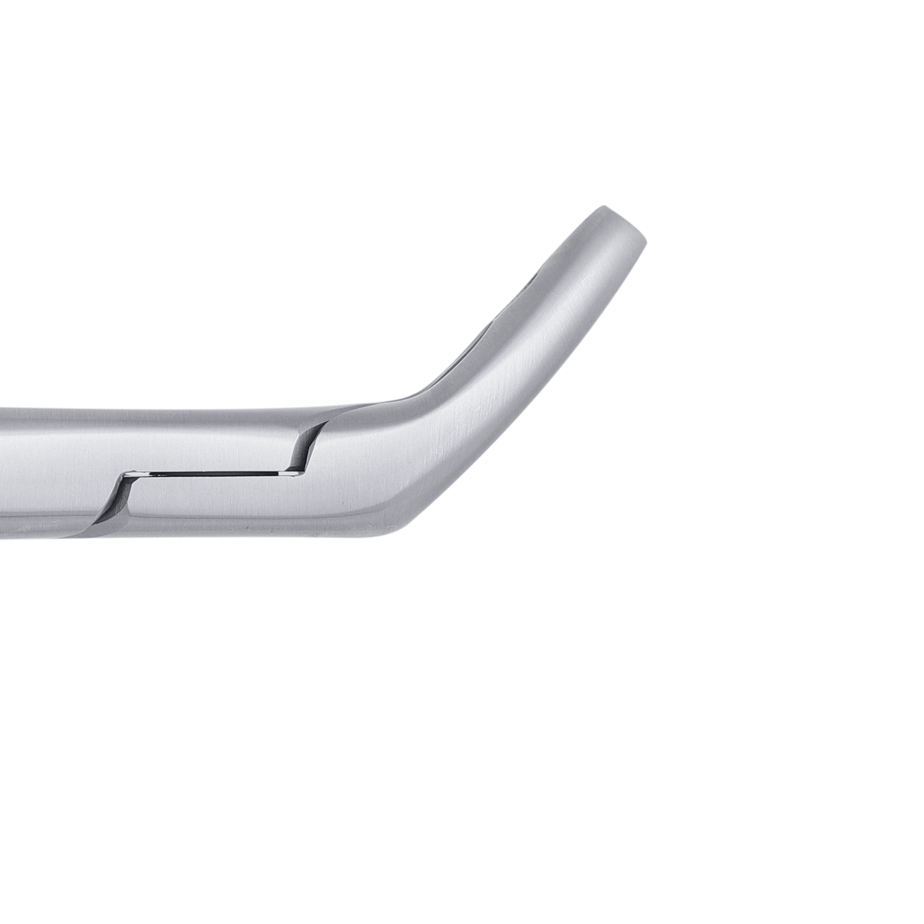 151AS Split Beaks Serrated Lower Incisors, Canines & Premolars ...