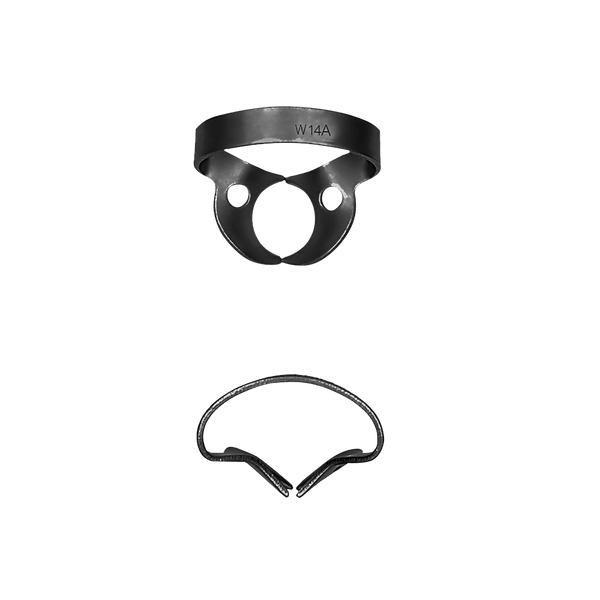 W14A Molars; General, Rubber Dam Clamp
