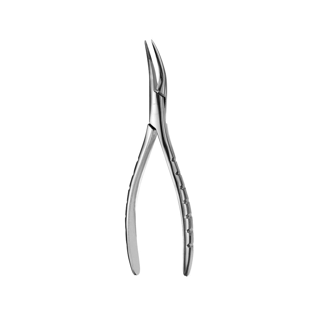 300 Upper Roots Serrated Extraction Forceps - HiTeck Medical Instruments