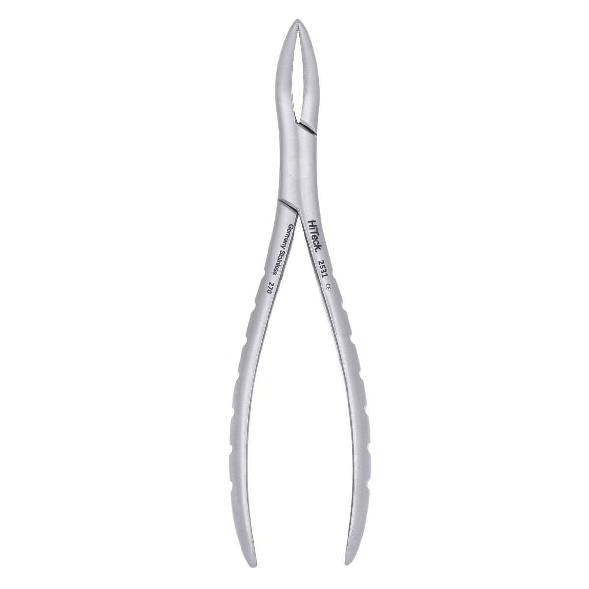 301 Lower Roots Serrated Extraction Forceps - HiTeck Medical Instruments