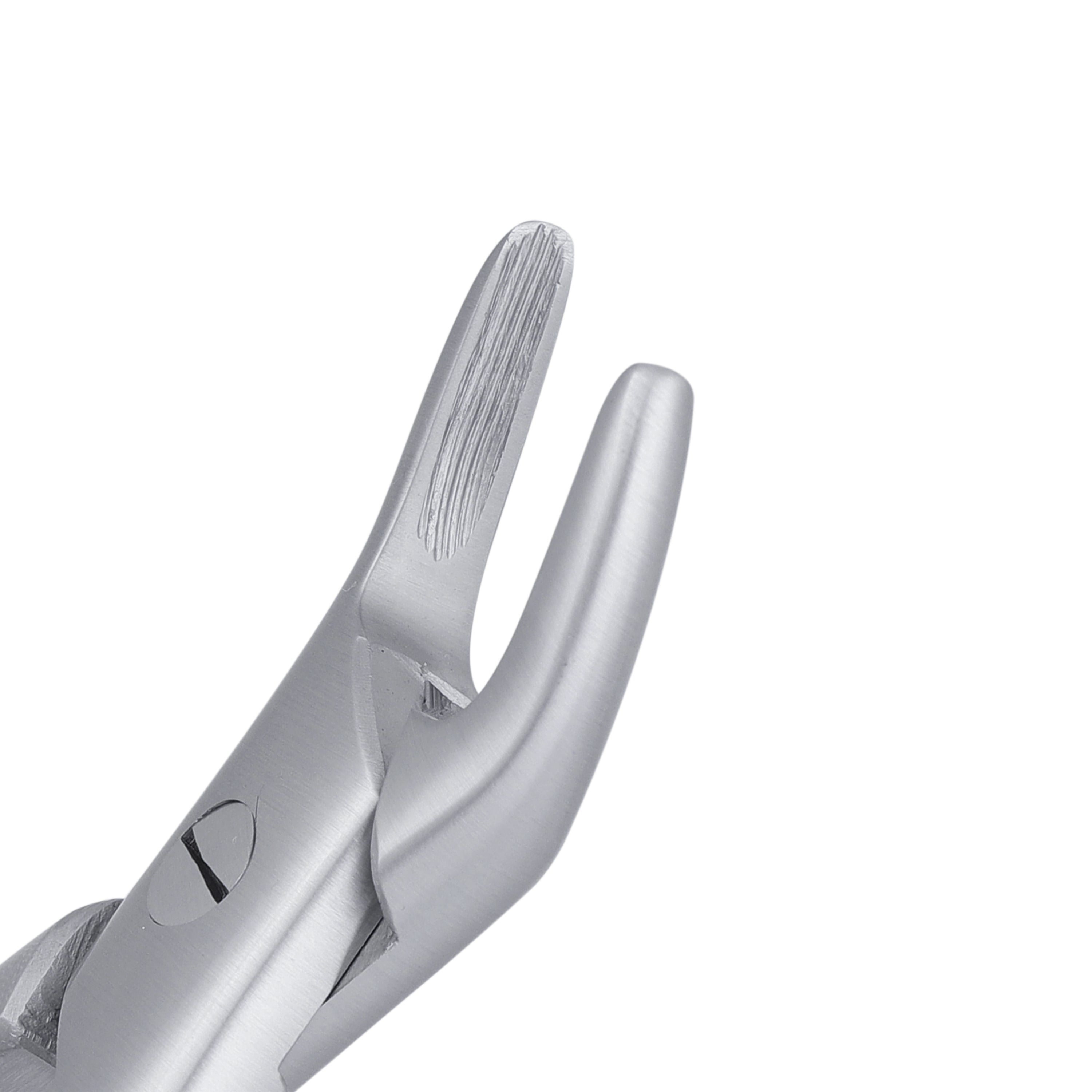 76S Upper Roots Serrated Extraction Forceps - HiTeck Medical Instruments