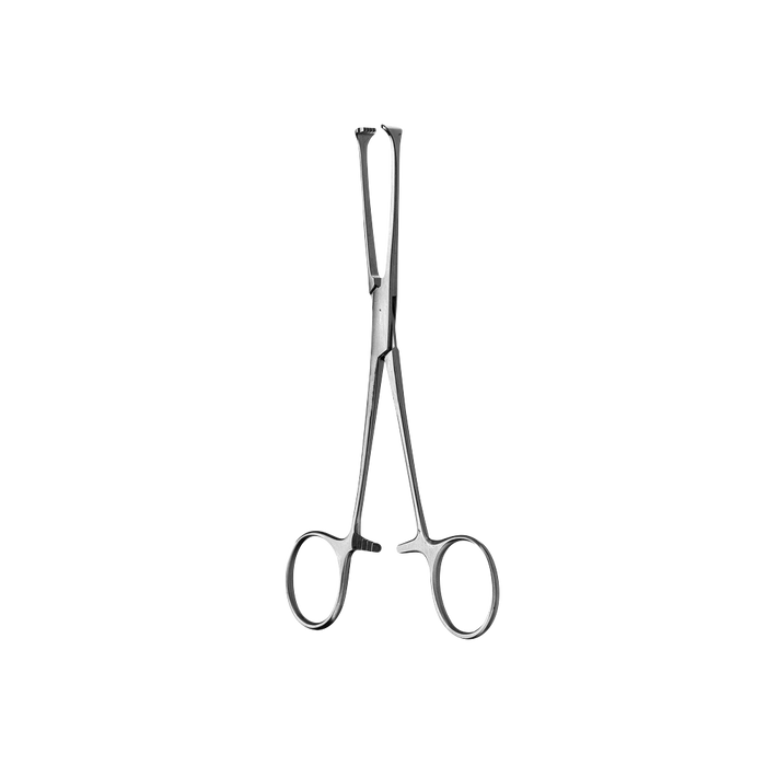 Allis Tissue Forcep, 5x6 Teeth, 15CM