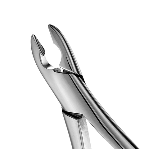 99C Kells Upper Incisors & Canines Extraction Forceps - HiTeck Medical Instruments