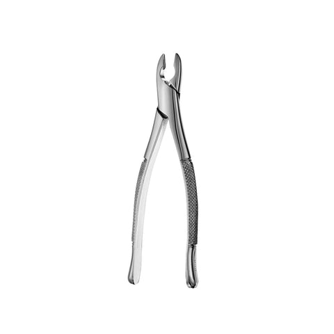 99C Kells Upper Incisors & Canines Extraction Forceps - HiTeck Medical Instruments