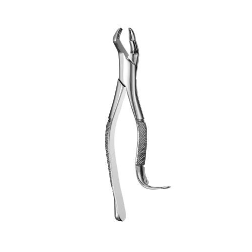 210H pper Molars Extraction Forcep - HiTeck Medical Instruments