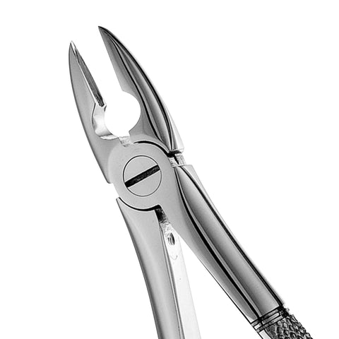 MD1 Mead Serrated Upper Incisors, Canines & Premolars Extraction Forceps - HiTeck Medical Instruments