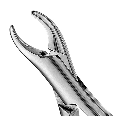 150K Upper Primary Incisors & Roots Extraction Forcep - HiTeck Medical Instruments