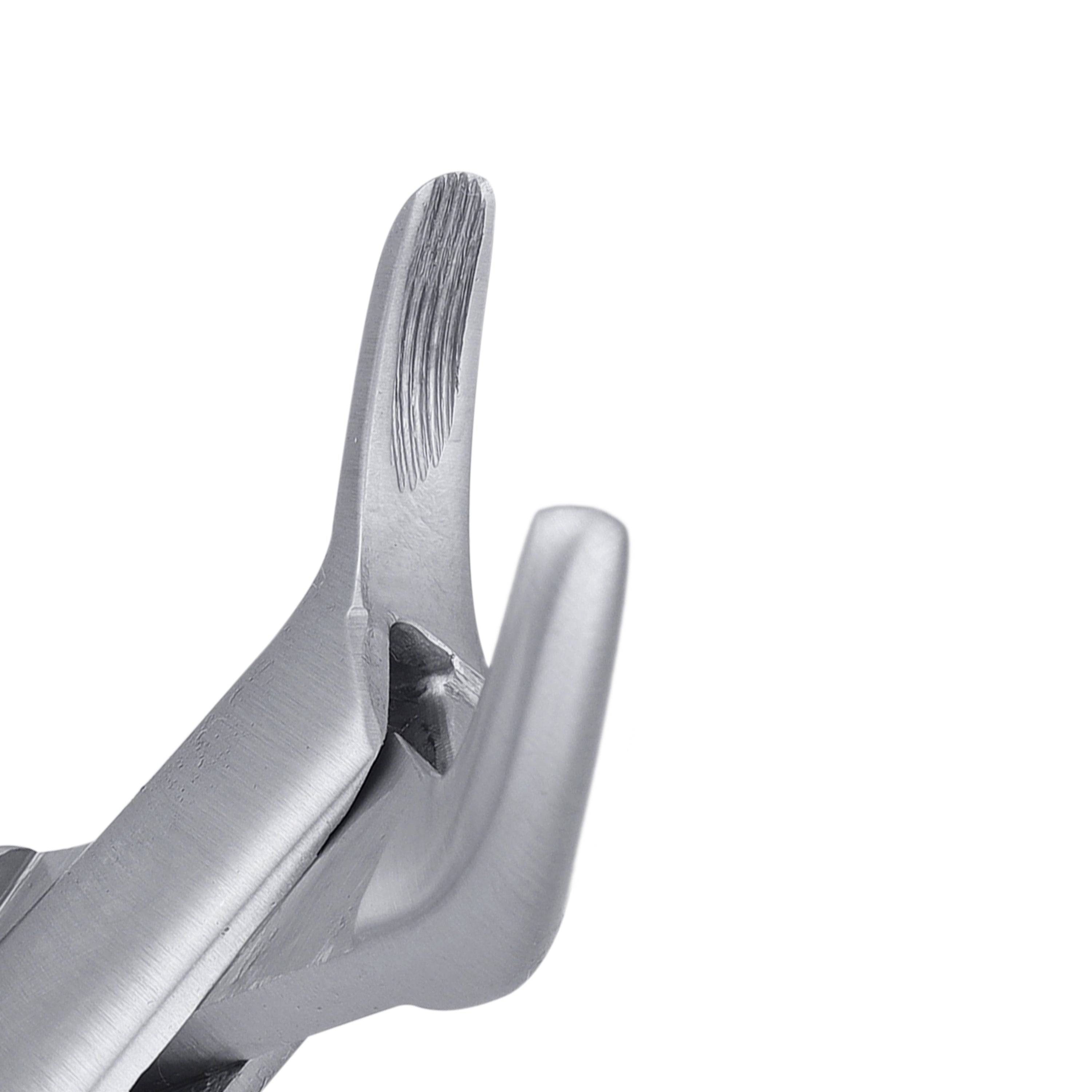 151K Lower Primary Incisors & Roots Extraction Forcep | HiTeck Medical ...