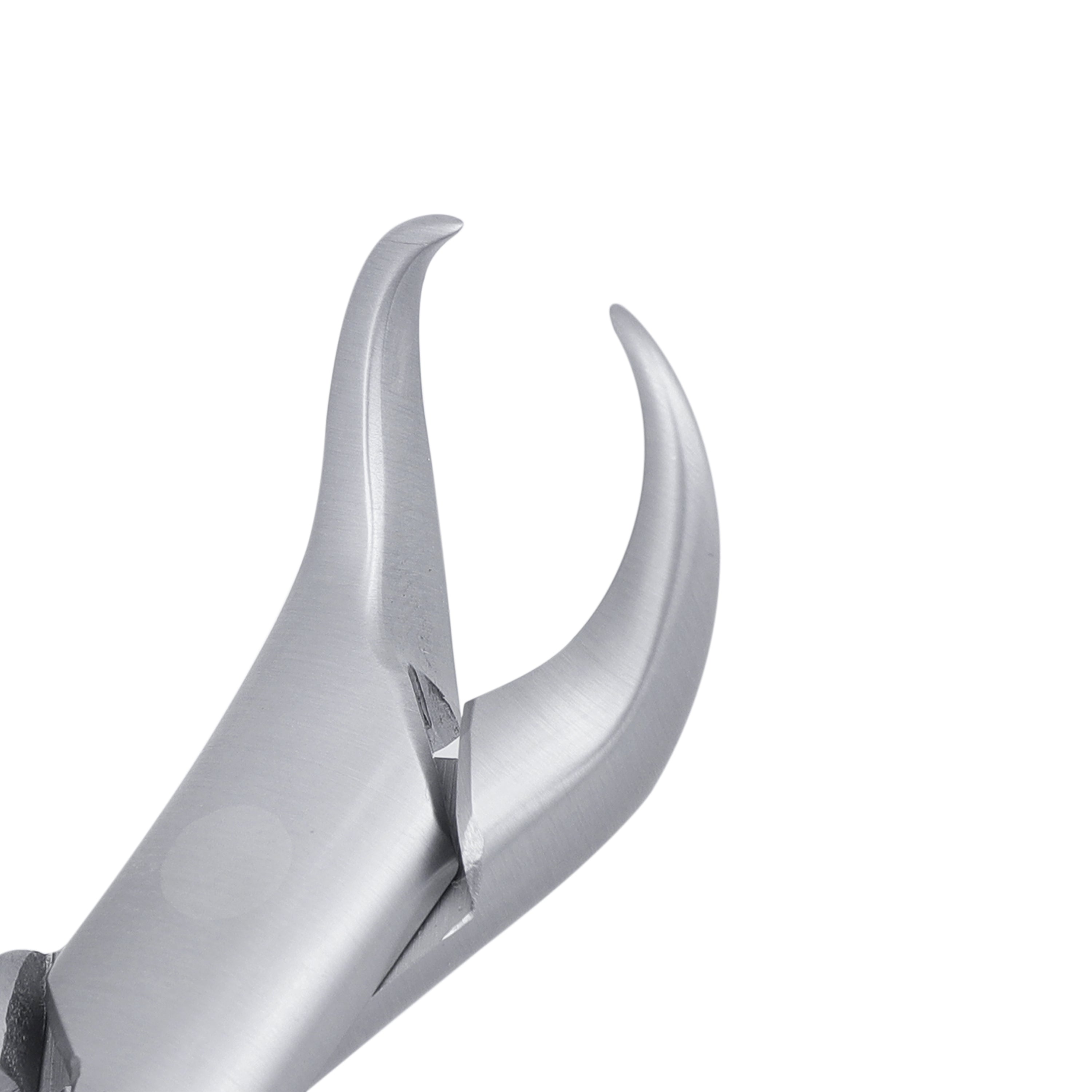 23S Pedo Cowhorn 1st & 2nd Lower Molars Extraction Forcep - HiTeck Medical Instruments