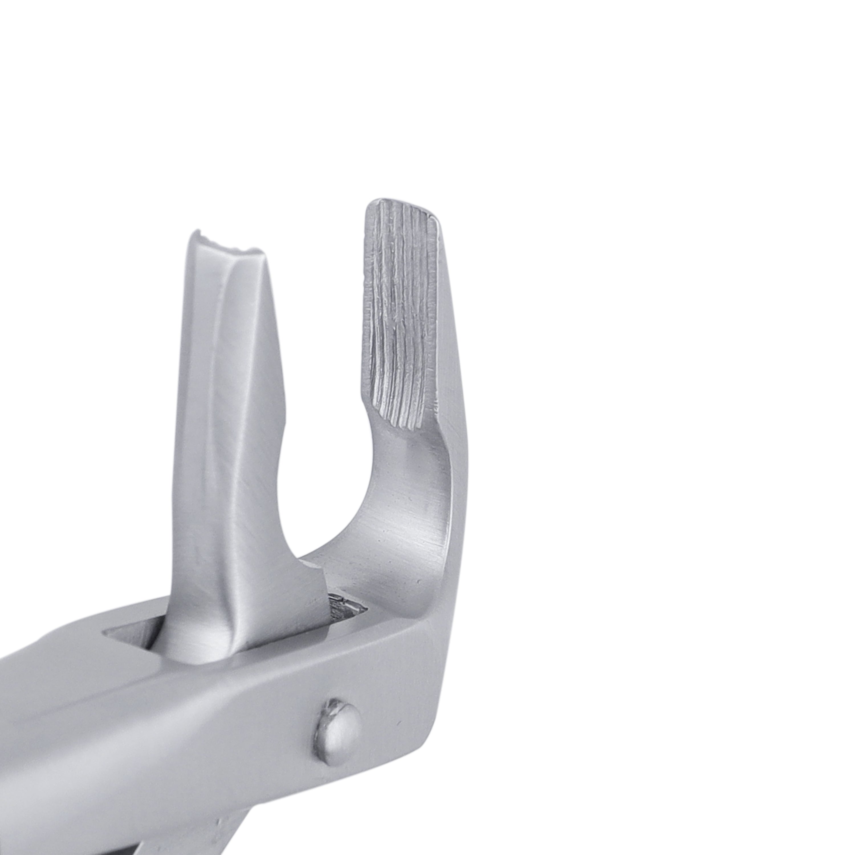 36 Apical Lower Premolars & Incisors Atraumair Extraction Forceps ...