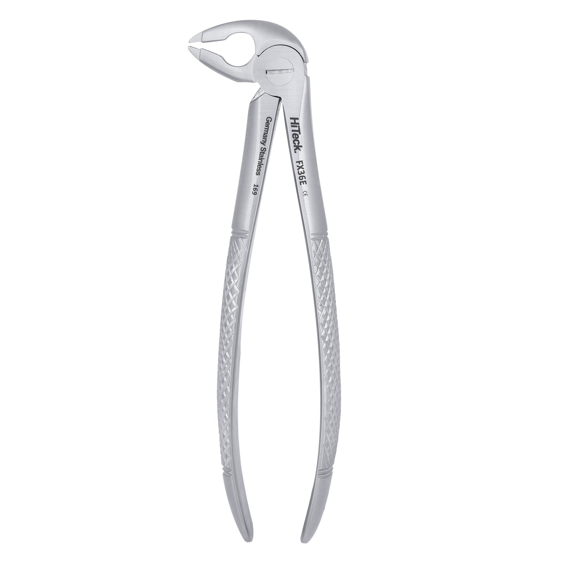 36 Serrated Lower Premolars Extraction Forcep - HiTeck Medical Instruments