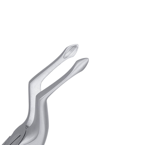51 Upper Roots Serrated Atraumair Extraction Forceps - HiTeck Medical Instruments