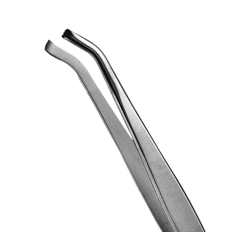 16 Tissue Forcep, 3x4, 15CM - HiTeck Medical Instruments