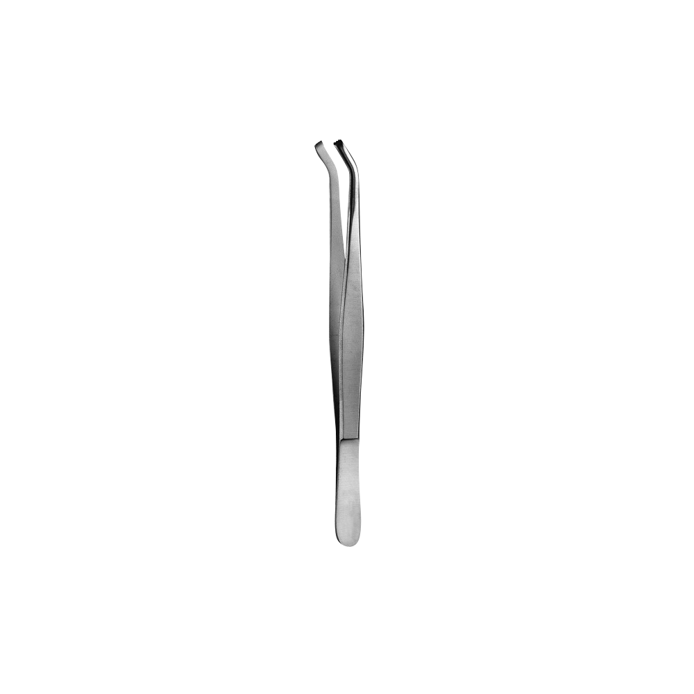 16 Tissue Forcep, 3x4, 15CM - HiTeck Medical Instruments