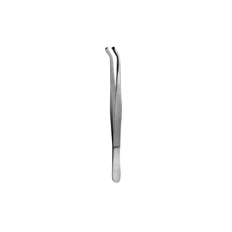 16 Tissue Forcep, 3x4, 15CM - HiTeck Medical Instruments