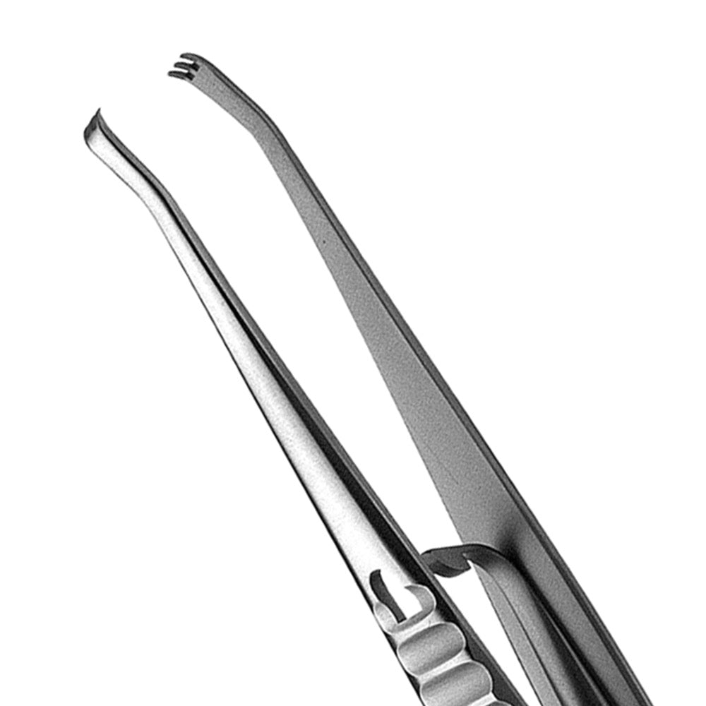 50 Fox Non Locking Tissue Forcep, 3x3, 15CM - HiTeck Medical Instruments